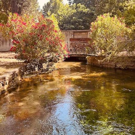 Appartement Fontaine De Vaucluse Dış mekan fotoğraf