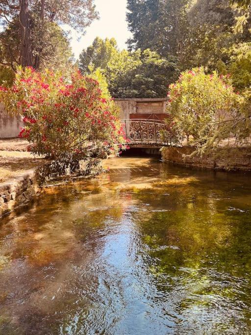 Appartement Fontaine De Vaucluse Dış mekan fotoğraf